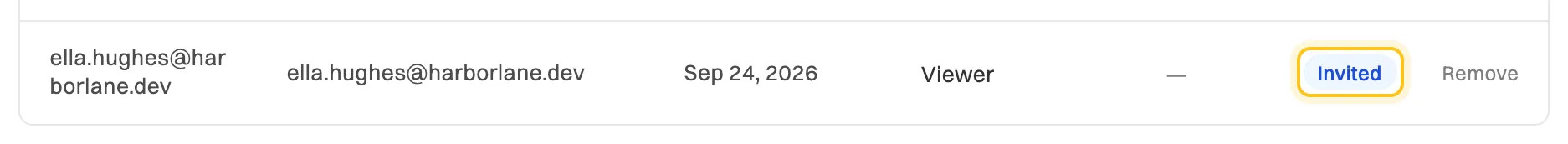 A member row with only an email address, the role Viewer, no plan and an Invited status